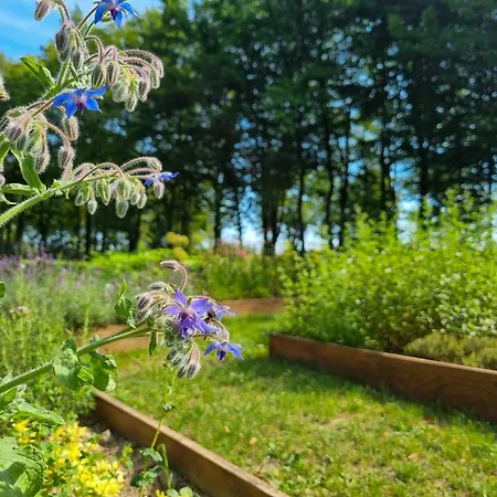 Muzeum Ziemianstwa W Dabrowie Zajazd