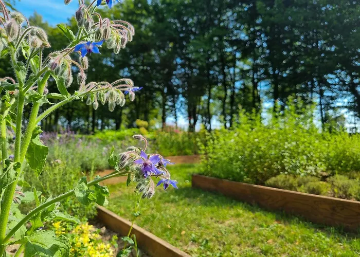 Muzeum Ziemianstwa W Dabrowie Gasthof